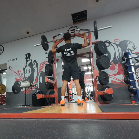 The Papa De Luxe Training System Blog Image one 